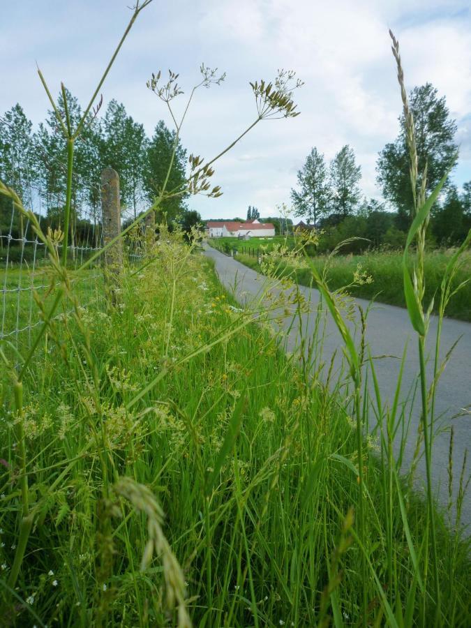 Het Verblijf Sint-Martens-Lennik Екстериор снимка
